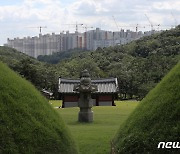 "검단아파트 높이 고수"..'왕릉뷰' 개선방안 실효성 0점 [국감브리핑]