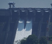 인도 폭우로 수문 열린 체루쏘니 댐