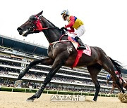 최고 경주마 향한 대망의 레이스, 24일 'SBS스포츠 스프린트'와 'KRA컵 클래식'으로 스타트