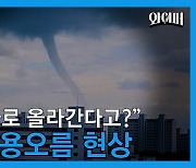 [제보영상] "거대한 용이 하늘로?".. 포항 앞바다 '용오름'  발생