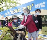 [포토] 양천 '논에서 놀자!!' 가을걷이 벼 베기 체험하는 아이들의 모습