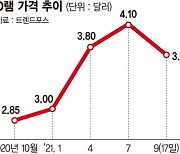 삼성 D램 생산라인 CIS로 전환 속도