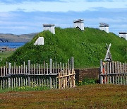 바이킹, 1천년 전 북미서 살았다..집 지었던 나뭇조각으로 확인