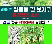sogumm(소금), 22일 정규 앨범 'Precious'로 1년여 만 솔로 컴백..9곡 프리뷰 공개