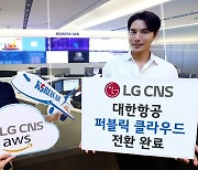 LG CNS completes Korean Air's digital transformation