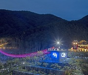 [포토뉴스] 가을밤 불 밝힌 동의보감촌 무릉교