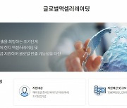 "정부, 스타트업 해외진출 지원사업 성과 '25배' 뻥튀기 홍보"
