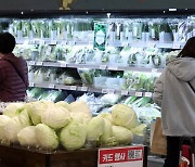'9월 생산자물가지수 농산물 전년 동월대비 15.1% 하락'