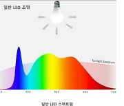 서울반도체 "美하버드서 '썬라이크' 학습능력 향상 입증"