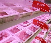 정부 "돼지 · 닭고기, 일부 항생제에 내성률 높아..손 씻고 익혀 먹어야"