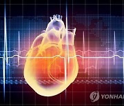 "당뇨병 예방의 핵심은 심장 건강(?)"