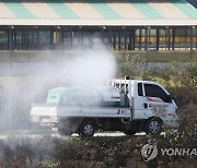 안성·아산·부안서 AI 항원 검출..고병원성 확인 중