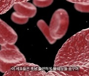 EPEX(이펙스), 첫 자체 리얼리티 '이펙스의 세포들' 첫 공개