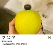 윤석열 '전두환 발언' 사과한 날, 개한테 사과 주는 사진 올렸다 삭제