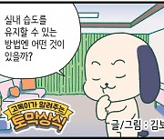 [신문과 놀자!/고독이의 토막상식]실내 습도 올리기