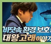 "멸종위기 대왕고래 지켜주세요"..닥스키즈, 환경캠페인 곡 공개