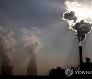 한국 등 OECD 회원국 다수, 석탄발전소에 수출신용 중단 합의