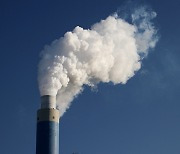 정부 "저탄소 경제 이행, 취약 업종 지원 고려해야"