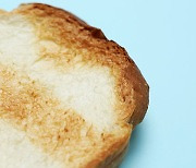 토스트 먹은 87명 식중독 증세.."살모넬라균 검출"