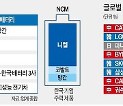 테슬라가 기름 부었다..더 뜨거워진 韓·中 배터리 전쟁