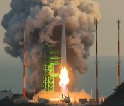 Rocket with Korean technology makes it into space