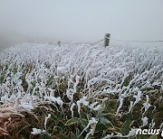 [내일 날씨]서리 내린다는 '상강'..서울 아침 6도, 초겨울 날씨