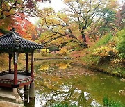궁궐·왕릉에서 가을 단풍 즐기세요..10월말~11월초 절정