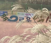 익산시, 신흥저수지 행복정원·가을꽃정원 개방