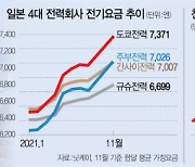 日도 '에너지 대란' 몸살..올들어 가정용 전기료 17% 급등