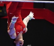 JAPAN ARTISTIC GYMNASTICS WORLD CHAMPIONSHIPS