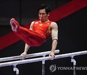 JAPAN ARTISTIC GYMNASTICS WORLD CHAMPIONSHIPS