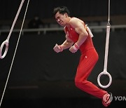 Japan Gymnastics