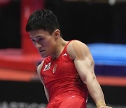 JAPAN ARTISTIC GYMNASTICS WORLD CHAMPIONSHIPS