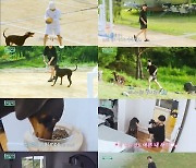 방탄소년단 정국, '껌딱지' 반려견과 브로맨스 영화 한 편 ('인더숲 BTS편')