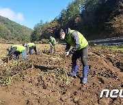 농협축산컨설팅부 직원들, 수확기 농촌일손돕기 총력