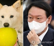 전두환 발언 이어 '반려견 사과 사진' 논란 빚은 尹, 내달초 광주 방문