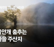 [권혁재 핸드폰사진관] 물안개 춤추는 가을 주산지
