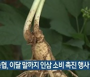 전북농협, 이달 말까지 인삼 소비 촉진 행사