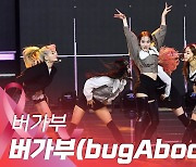 HK영상|버가부(bugAboo) 데뷔 쇼케이스, 타이틀곡 '버가부' Live Stage
