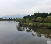 [포토친구] 가을비 오는 날 호수