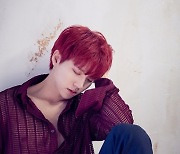 인피니트 남우현, 美 타이달 플레이리스트 커버 장식