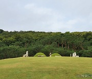 고심에 빠진 문화재청..건설사는 "지붕에 기와 올릴게요" [부동산360]