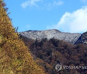 [내일날씨] 전국 맑다가 낮부터 구름..일교차 15도 이상