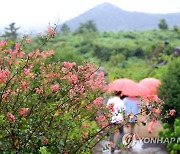 [날씨] 전국 맑다가 구름..제주 비 소식