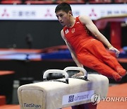 JAPAN ARTISTIC GYMNASTICS WORLD CHAMPIONSHIPS