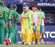 UAE CRICKET T20 AUSTRALIA SOUTH AFRICA