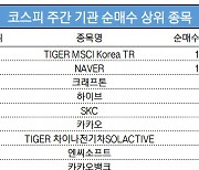 코스피 주간 기관 순매수 1위 'TIGER MSCI Korea TR'