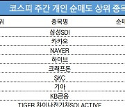 코스피 주간 개인 순매도 1위 '삼성SDI'