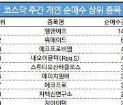 코스닥 주간 개인 순매수 1위 '엘앤에프'