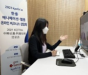 코트라 'K-웹툰·애니' 중국 진출 돕는다..비즈니스 상담회